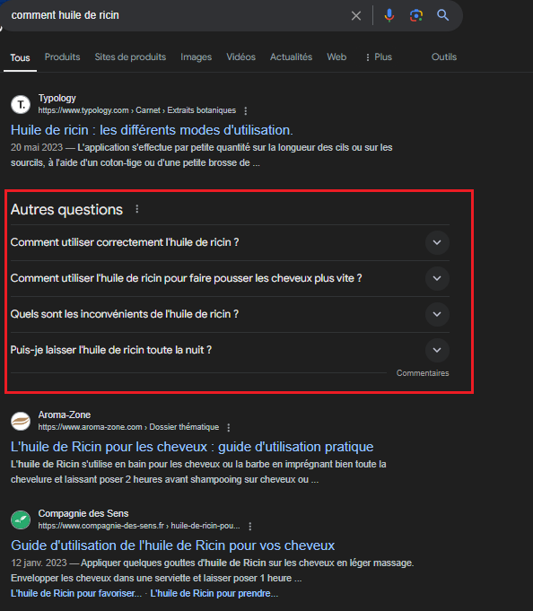 Capture d'écran de l'encart "Autres questions" sur Google