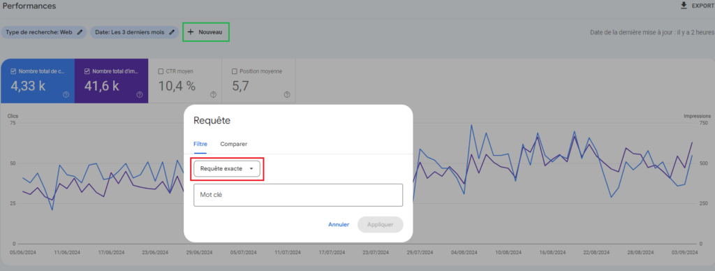 Capture d'écran de la Google Search Console - Filtres