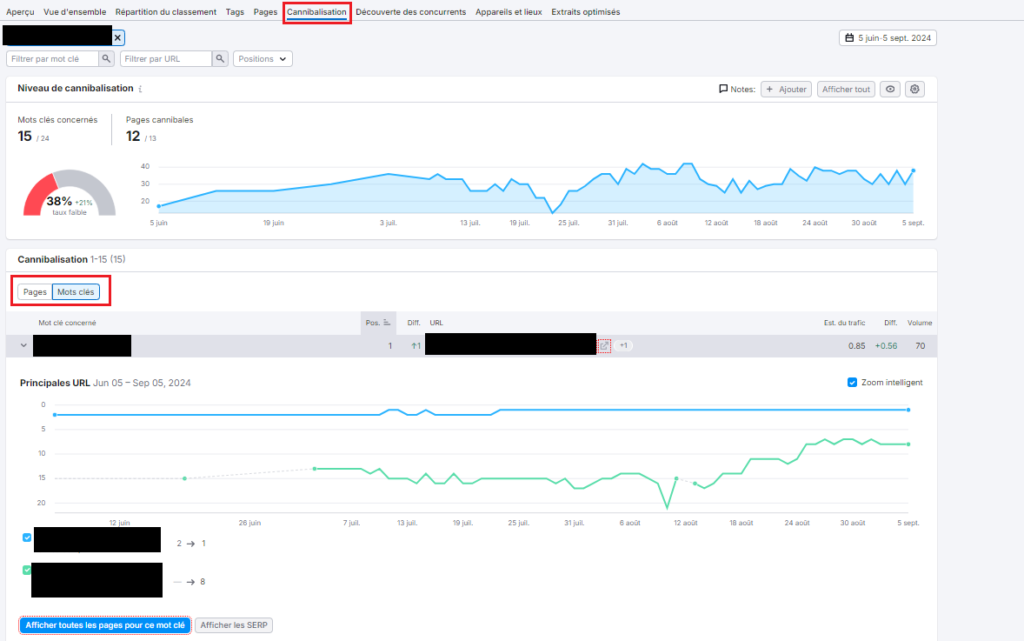 Capture d'écran Semrush - Cannibalisation