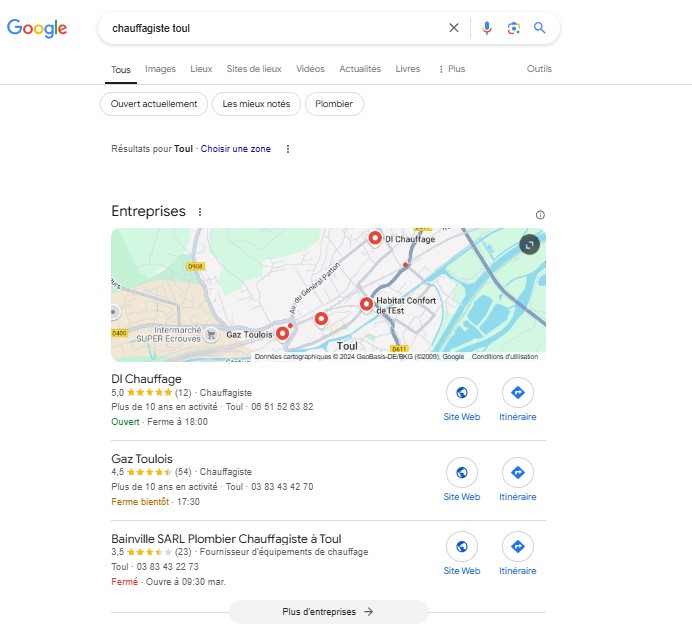 Capture d'écran de la recherche Google pour "Chauffagiste Toul"