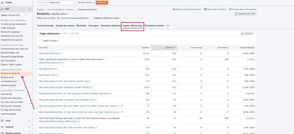 Capture d'écran Semrush - Analyse des backlinks